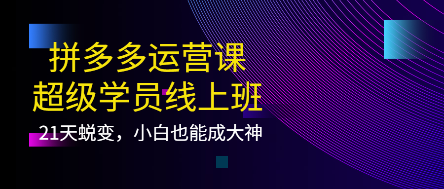 拼多多运营课：超级学员线上班，21天蜕变，小白也能成大神云富网创-网创项目资源站-副业项目-创业项目-搞钱项目云富网创