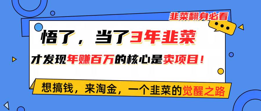 悟了，当了3年韭菜，才发现网赚圈年赚100万的核心是卖项目，含泪分享！云富网创-网创项目资源站-副业项目-创业项目-搞钱项目云富网创