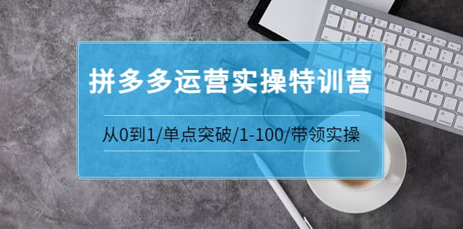 拼多多运营实操特训营：从0到1/单点突破/1-100/带领实操 价值2980元云富网创-网创项目资源站-副业项目-创业项目-搞钱项目云富网创