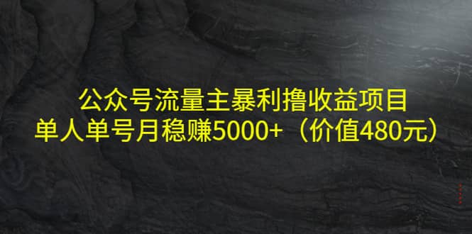 公众号流量主暴利撸收益项目，单人单号月稳赚5000+（价值480元）云富网创-网创项目资源站-副业项目-创业项目-搞钱项目云富网创