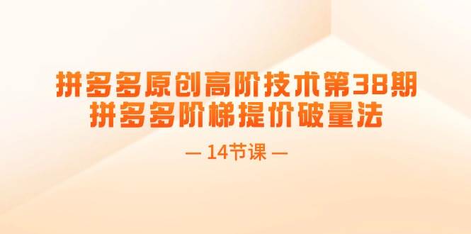 拼多多原创高阶技术第38期，拼多多阶梯提价破量法（14节课）云富网创-网创项目资源站-副业项目-创业项目-搞钱项目云富网创