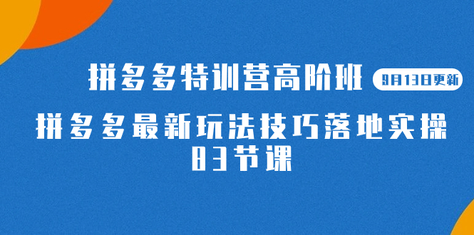 2023拼多多·特训营高阶班【9月13日更新】拼多多最新玩法技巧落地实操-83节云富网创-网创项目资源站-副业项目-创业项目-搞钱项目云富网创