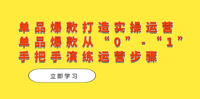 单品爆款打造实操运营，单品爆款从“0”-“1”手把手演练运营步骤云富网创-网创项目资源站-副业项目-创业项目-搞钱项目云富网创