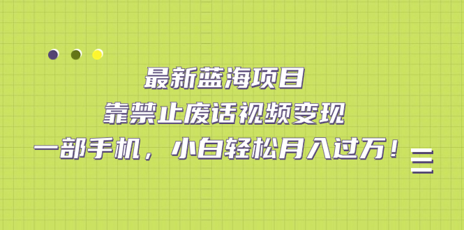 最新蓝海项目，靠禁止废话视频变现，一部手机，小白轻松月入过万！云富网创-网创项目资源站-副业项目-创业项目-搞钱项目云富网创