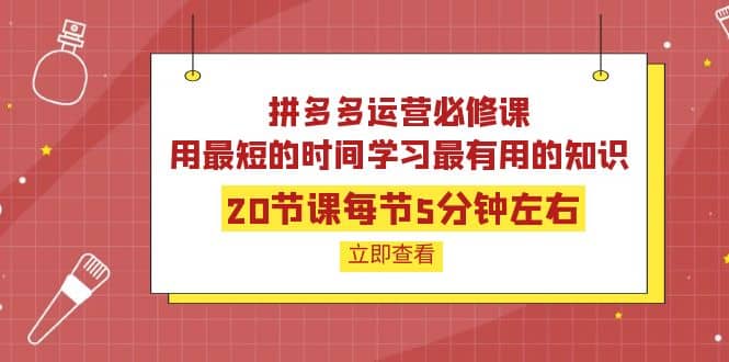 拼多多运营必修课：20节课每节5分钟左右，用最短的时间学习最有用的知识云富网创-网创项目资源站-副业项目-创业项目-搞钱项目云富网创