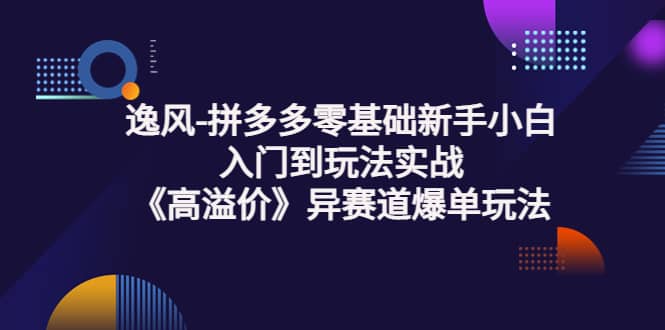 拼多多零基础新手小白入门到玩法实战《高溢价》异赛道爆单玩法实操课云富网创-网创项目资源站-副业项目-创业项目-搞钱项目云富网创