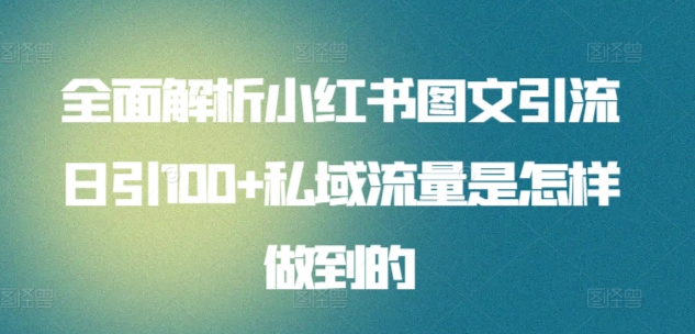 全面解析小红书图文引流日引100私域流量是怎样做到的云富网创-网创项目资源站-副业项目-创业项目-搞钱项目云富网创