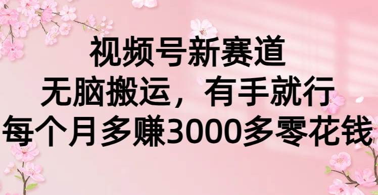 视频号新赛道，无脑搬运，有手就行，每个月多赚3000多零花钱云富网创-网创项目资源站-副业项目-创业项目-搞钱项目云富网创