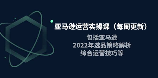 亚马逊运营实操课（每周更新）包括亚马逊2022选品策略解析，综合运营技巧等云富网创-网创项目资源站-副业项目-创业项目-搞钱项目云富网创