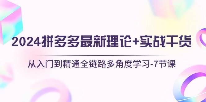 2024拼多多 最新理论+实战干货，从入门到精通全链路多角度学习-7节课云富网创-网创项目资源站-副业项目-创业项目-搞钱项目云富网创