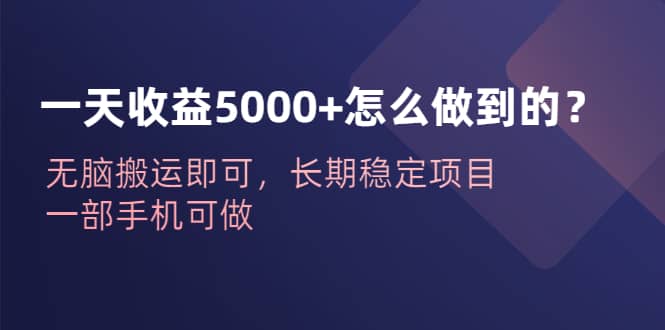 一天收益5000+怎么做到的？无脑搬运即可，长期稳定项目，一部手机可做云富网创-网创项目资源站-副业项目-创业项目-搞钱项目云富网创