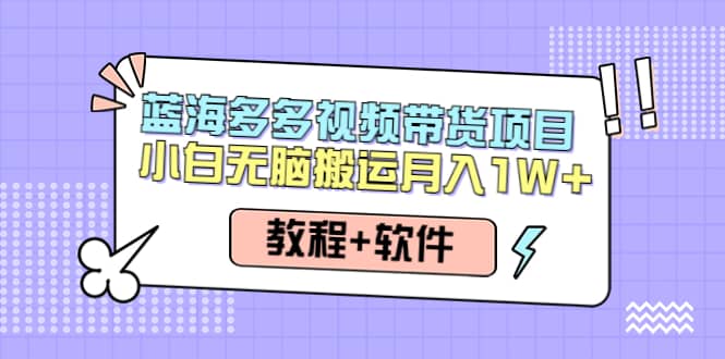 人人都能操作的蓝海多多视频带货项目 小白无脑搬运（教程+软件）云富网创-网创项目资源站-副业项目-创业项目-搞钱项目云富网创