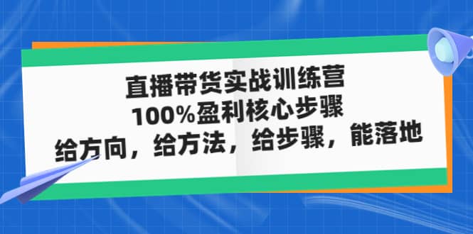 直播带货实战训练营：100%盈利核心步骤，给方向，给方法，给步骤，能落地云富网创-网创项目资源站-副业项目-创业项目-搞钱项目云富网创