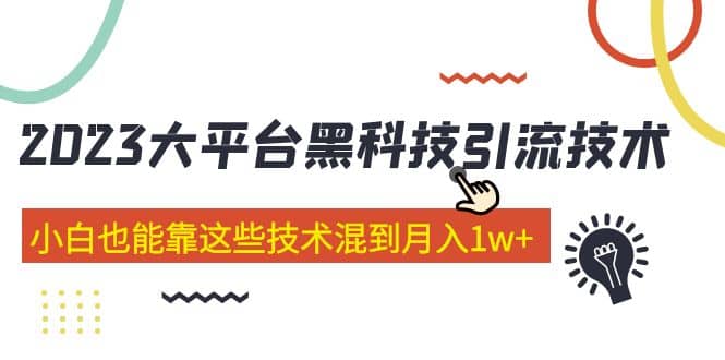 价值4899的2023大平台黑科技引流技术 29节课云富网创-网创项目资源站-副业项目-创业项目-搞钱项目云富网创