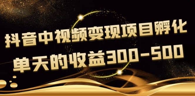 黄岛主《抖音中视频变现项目孵化》单天的收益300-500 操作简单粗暴云富网创-网创项目资源站-副业项目-创业项目-搞钱项目云富网创