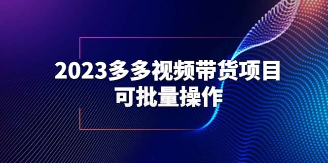 2023多多视频带货项目，可批量操作【保姆级教学】云富网创-网创项目资源站-副业项目-创业项目-搞钱项目云富网创