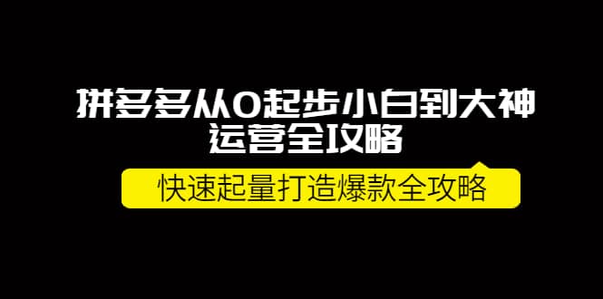 拼多多从0起步小白到大神运营全攻略云富网创-网创项目资源站-副业项目-创业项目-搞钱项目云富网创