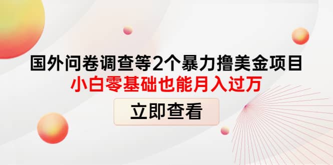 国外问卷调查等2个暴力撸美元项目，小白零基础也能月入过万云富网创-网创项目资源站-副业项目-创业项目-搞钱项目云富网创