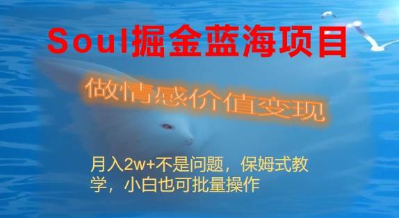 Soul掘金蓝海项目细分赛道，做情感价值变现，月入2w+不是问题云富网创-网创项目资源站-副业项目-创业项目-搞钱项目云富网创