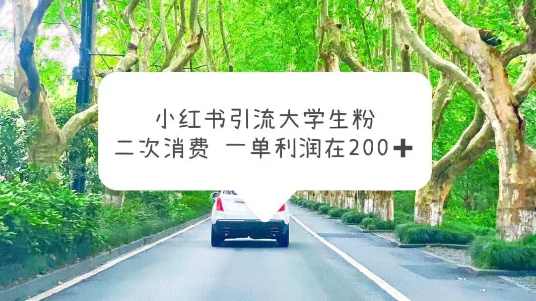 小红书引流大学生粉，变现项目，一单利润在200+（教程+资源）云富网创-网创项目资源站-副业项目-创业项目-搞钱项目云富网创