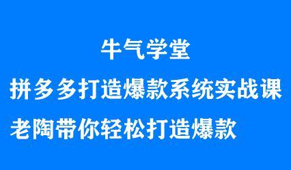 牛气学堂拼多多打造爆款系统实战课，老陶带你轻松打造爆款云富网创-网创项目资源站-副业项目-创业项目-搞钱项目云富网创