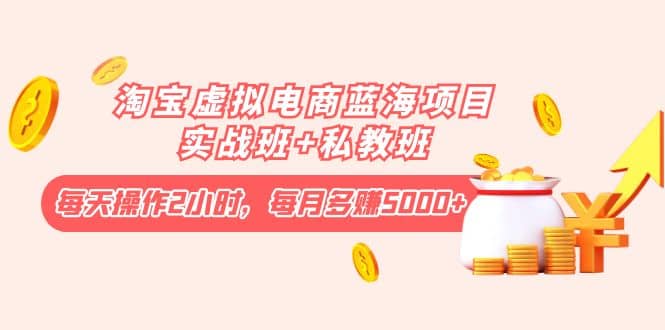 淘宝虚拟电商蓝海项目实战班+私教班云富网创-网创项目资源站-副业项目-创业项目-搞钱项目云富网创