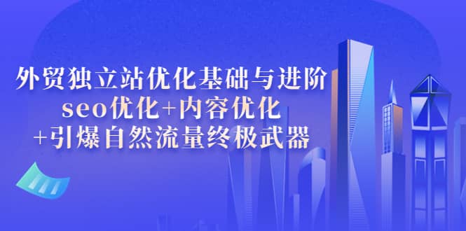 外贸独立站优化基础与进阶，seo优化+内容优化+引爆自然流量终极武器云富网创-网创项目资源站-副业项目-创业项目-搞钱项目云富网创