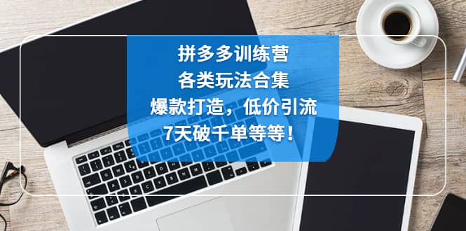 拼多多训练营：各玩法合集，爆款打造，低价引流，7天破千单等等云富网创-网创项目资源站-副业项目-创业项目-搞钱项目云富网创