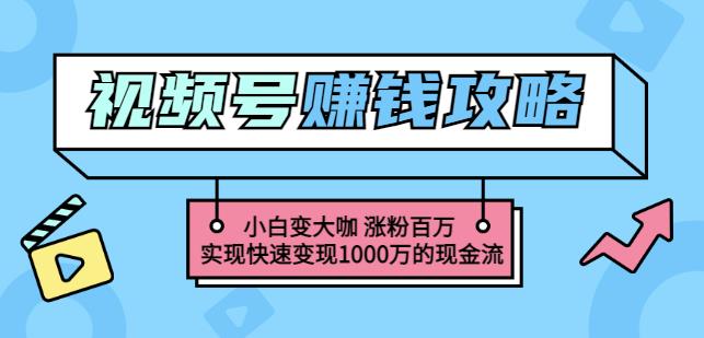 玩转微信视频号赚钱：小白变大咖涨粉百万实现快速变现1000万的现金流云富网创-网创项目资源站-副业项目-创业项目-搞钱项目云富网创