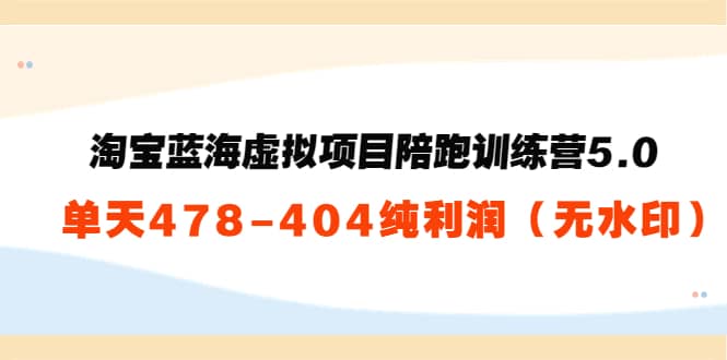 淘宝蓝海虚拟项目陪跑训练营5.0：单天478纯利润（无水印）云富网创-网创项目资源站-副业项目-创业项目-搞钱项目云富网创