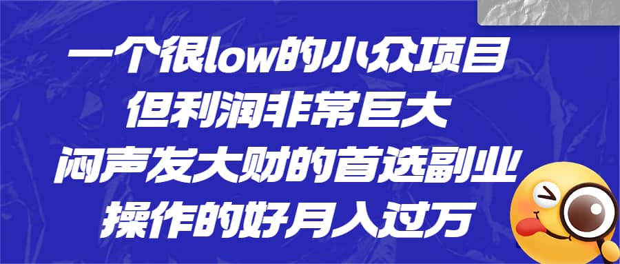 一个很low的小众项目，但利润非常巨大，闷声发大财的首选副业，月入过万云富网创-网创项目资源站-副业项目-创业项目-搞钱项目云富网创