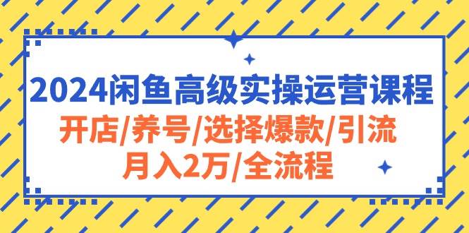 2024闲鱼高级实操运营课程：开店/养号/选择爆款/引流/月入2万/全流程云富网创-网创项目资源站-副业项目-创业项目-搞钱项目云富网创