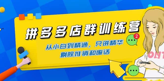 拼多多店群训练营：从小白到精通，只讲精华，剔除推销和废话云富网创-网创项目资源站-副业项目-创业项目-搞钱项目云富网创