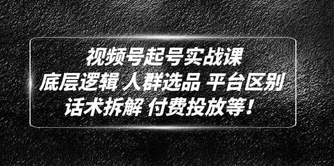 视频号起号实战课：底层逻辑 人群选品 平台区别 话术拆解 付费投放等云富网创-网创项目资源站-副业项目-创业项目-搞钱项目云富网创