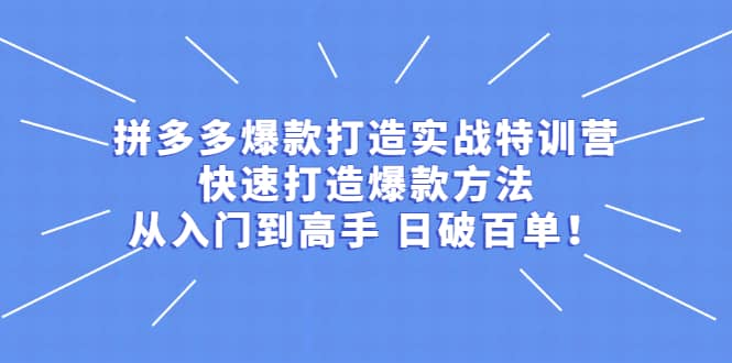 拼多多爆款打造实战特训营：快速打造爆款方法，从入门到高手 日破百单云富网创-网创项目资源站-副业项目-创业项目-搞钱项目云富网创