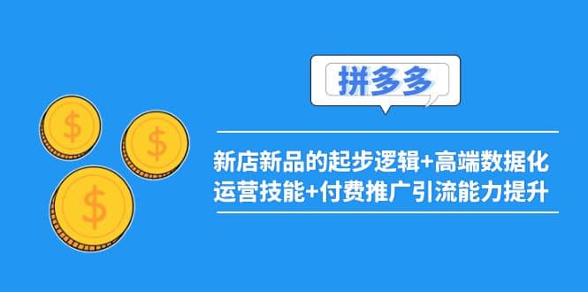 2022拼多多：新店新品的起步逻辑+高端数据化运营技能+付费推广引流能力提升云富网创-网创项目资源站-副业项目-创业项目-搞钱项目云富网创