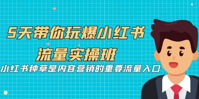 5天带你玩爆小红书流量实操班，小红书种草是内容营销的重要流量入口云富网创-网创项目资源站-副业项目-创业项目-搞钱项目云富网创