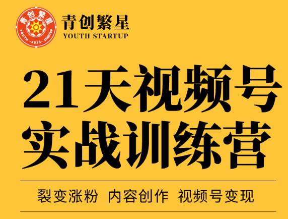 张萌21天视频号实战训练营，裂变涨粉、内容创作、视频号变现 价值298元云富网创-网创项目资源站-副业项目-创业项目-搞钱项目云富网创