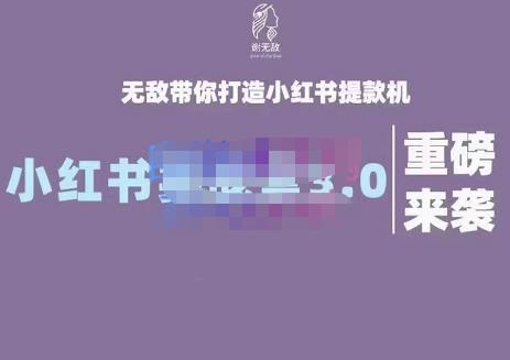 谢无敌·小红书实战营3.0，无敌带你打造小红书提款机 价值7999元云富网创-网创项目资源站-副业项目-创业项目-搞钱项目云富网创