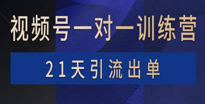 视频号训练营：带货，涨粉，直播，游戏，四大变现新方向，21天引流出单云富网创-网创项目资源站-副业项目-创业项目-搞钱项目云富网创