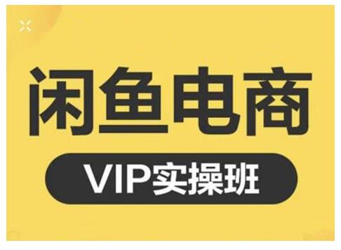 闲鱼电商零基础入门到进阶VIP实战课程，帮助你掌握闲鱼电商所需的各项技能云富网创-网创项目资源站-副业项目-创业项目-搞钱项目云富网创