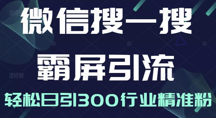 微信搜一搜霸屏引流课，打造被动精准引流系统，轻松日引300行业精准粉【无水印】云富网创-网创项目资源站-副业项目-创业项目-搞钱项目云富网创