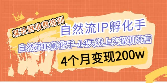 某社群收费培训：自然流IP 孵化手-14天线上实操训练营 4个月变现200w云富网创-网创项目资源站-副业项目-创业项目-搞钱项目云富网创