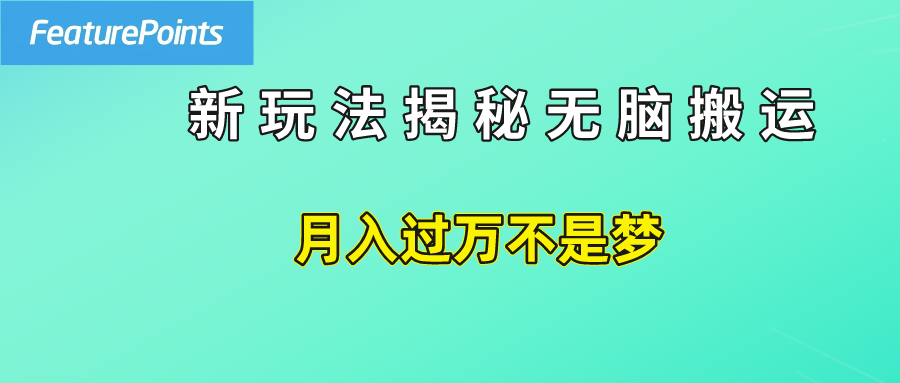 简单操作，每天50美元收入，搬运就是赚钱的秘诀！云富网创-网创项目资源站-副业项目-创业项目-搞钱项目云富网创