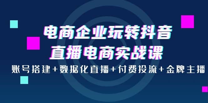 电商企业玩转抖音直播电商实战课：账号搭建+数据化直播+付费投流+金牌主播云富网创-网创项目资源站-副业项目-创业项目-搞钱项目云富网创