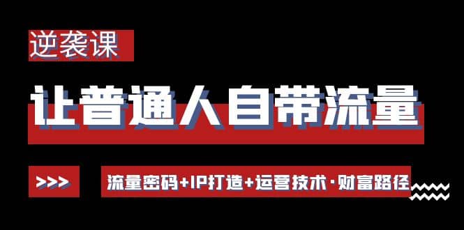 让普通人自带流量的逆袭课：流量密码+IP打造+运营技术·财富路径云富网创-网创项目资源站-副业项目-创业项目-搞钱项目云富网创