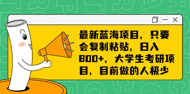 最新蓝海项目，只要会复制粘贴，日入800+，大学生考研项目，目前做的人极少云富网创-网创项目资源站-副业项目-创业项目-搞钱项目云富网创