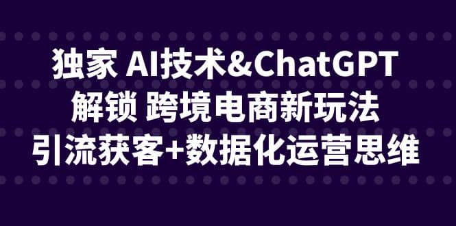 独家 AI技术ChatGPT解锁 跨境电商新玩法，引流获客+数据化运营思维云富网创-网创项目资源站-副业项目-创业项目-搞钱项目云富网创