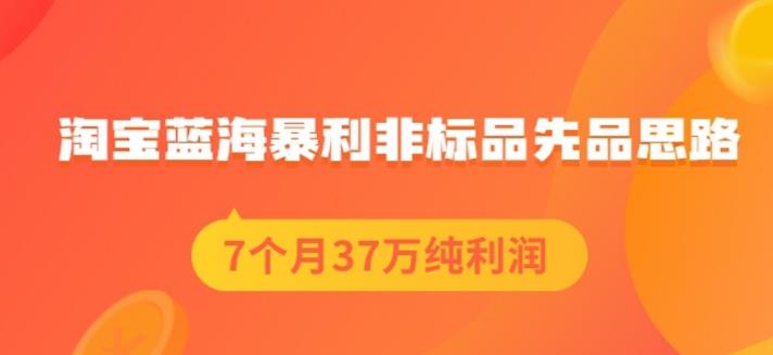 盗坤淘宝蓝海暴利非标品先品思路，7个月37万纯利润，压箱干货分享！【付费文章】云富网创-网创项目资源站-副业项目-创业项目-搞钱项目云富网创