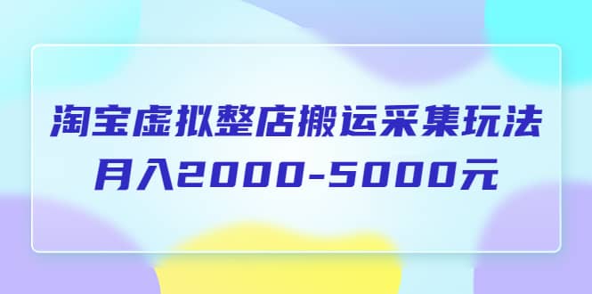 淘宝虚拟整店搬运采集玩法分享课：月入2000-5000元（5节课）云富网创-网创项目资源站-副业项目-创业项目-搞钱项目云富网创